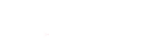 Pakistan Official Online Store Logo white
